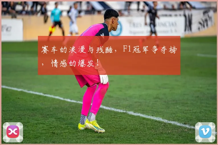 赛车的浪漫与残酷，F1冠军争夺榜，情感的爆发！